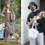 江藤菜摘　彼氏　R-指定　韓国好き