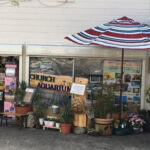 京都花園教会水族館 水槽 タバコ ポイ捨て 犯人 誰 名前 顔画像